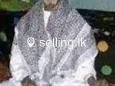 rejuvinate-your-love-life-and-fortunes-27670297249